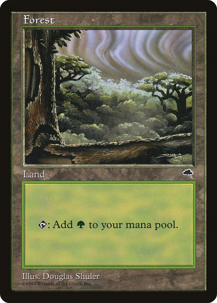 Forest - Image 1
