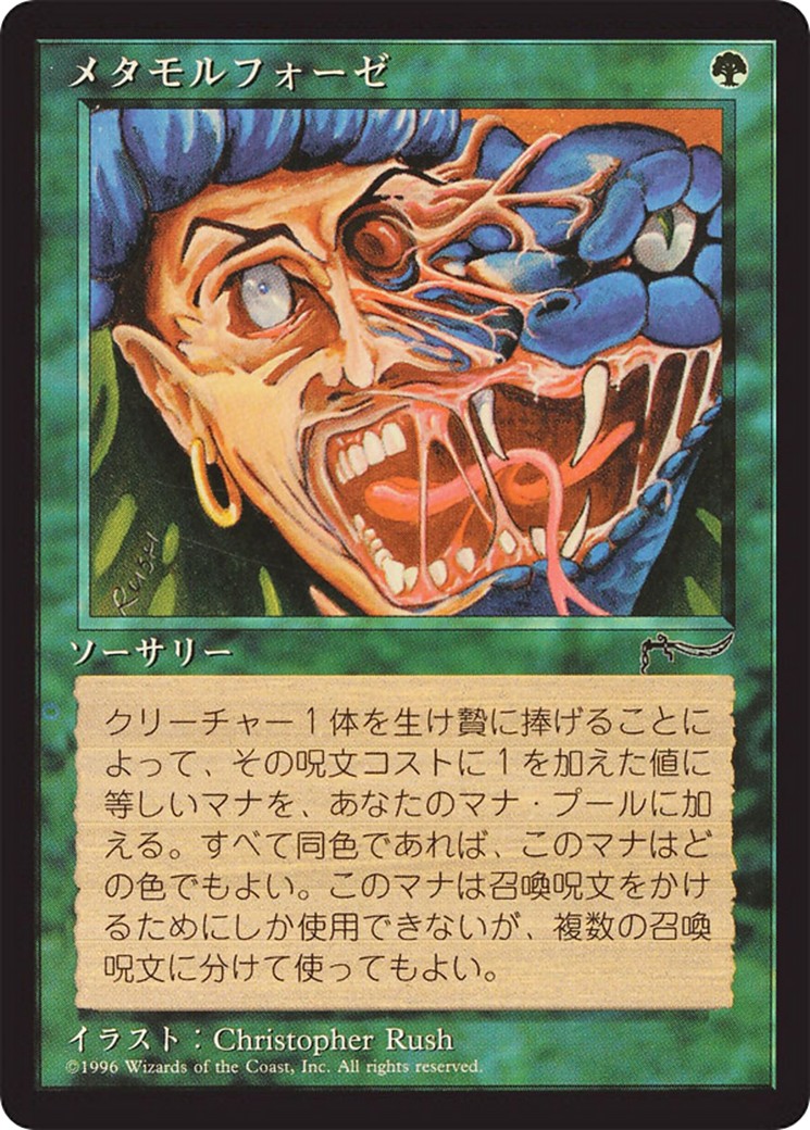 Metamorphosis - Image 1