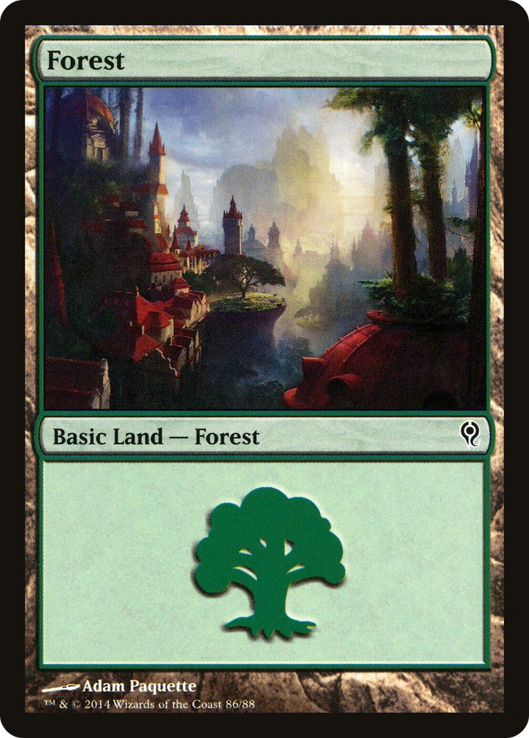Forest - Image 1