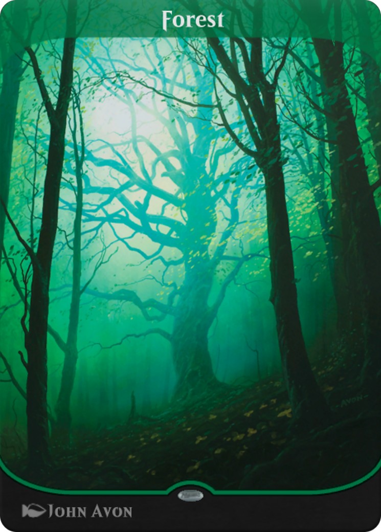 Forest - Image 1