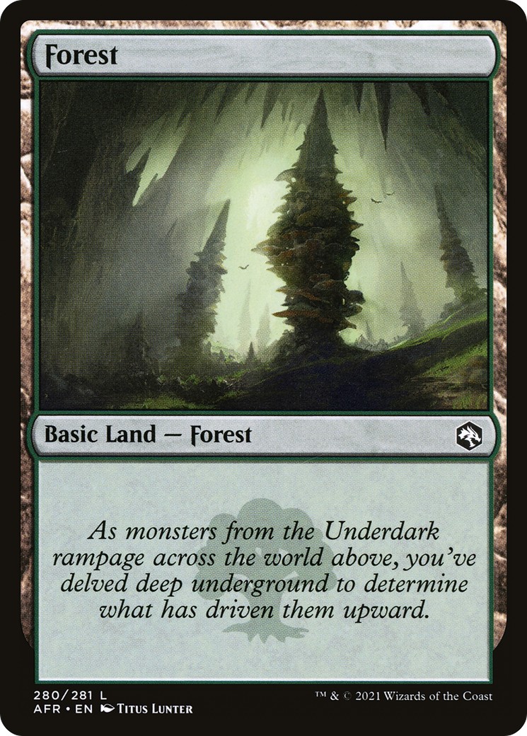 Forest - Image 1