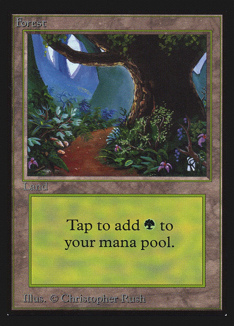 Forest - Image 1
