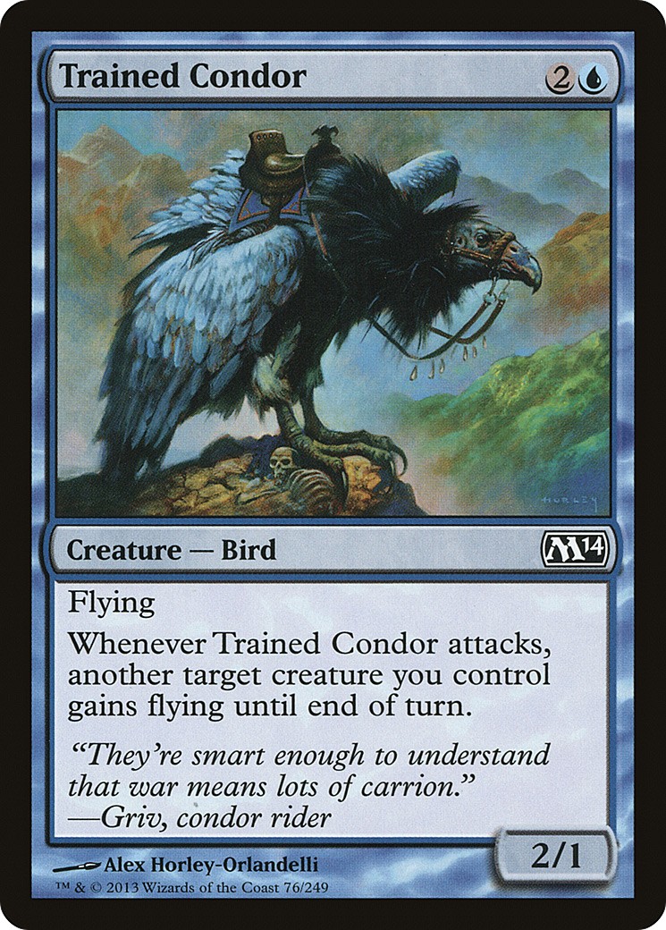Trained Condor - Image 1