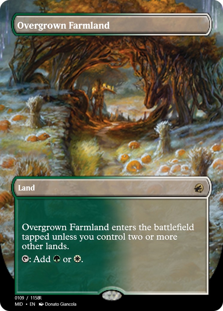 Overgrown Farmland - Image 1