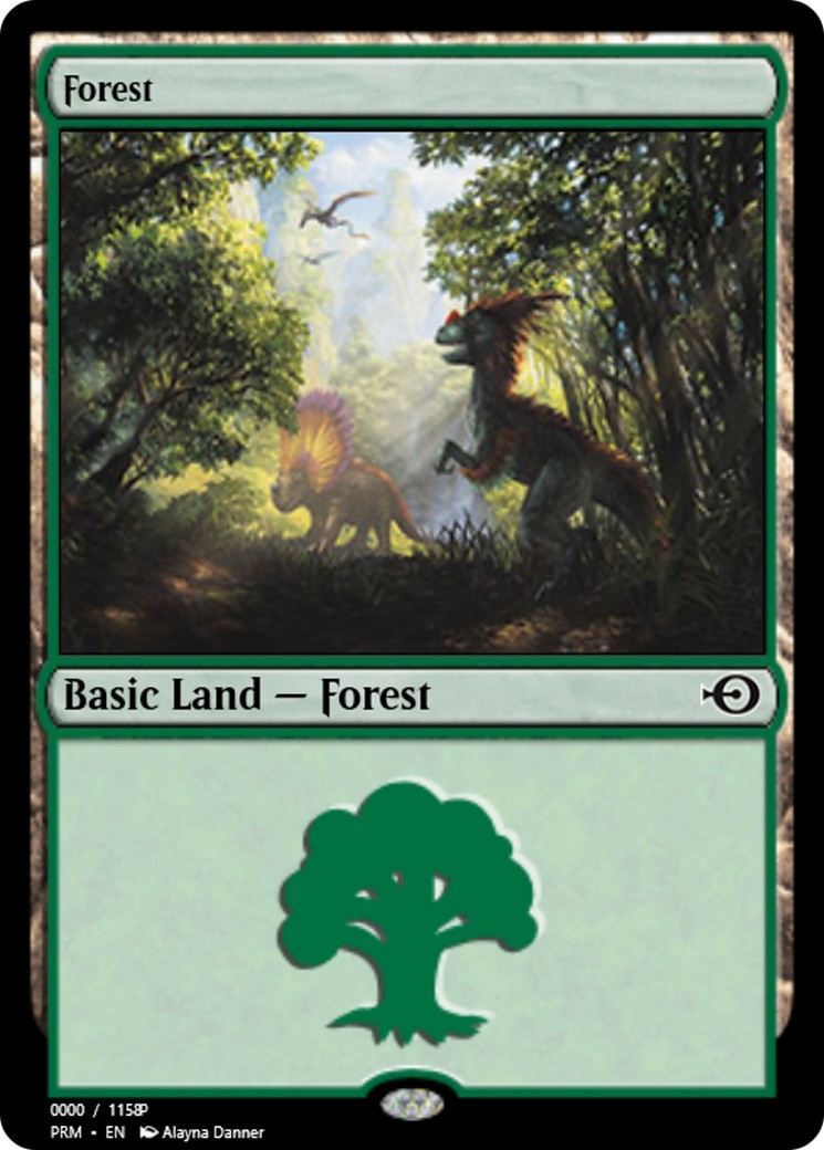 Forest - Image 1