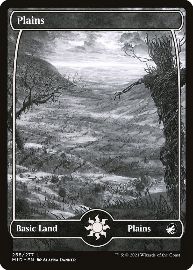 Plains - Image 1