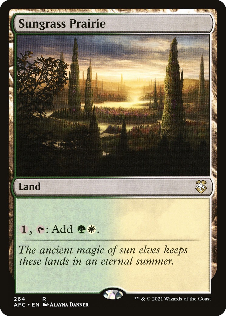 2021 Magic: The Gathering Forgotten Realms 2021 Magic: The Gathering Forgotten Realms #264 trading card