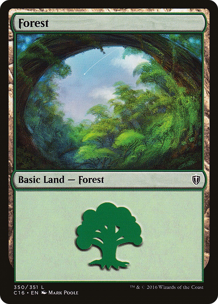 Forest - Image 1
