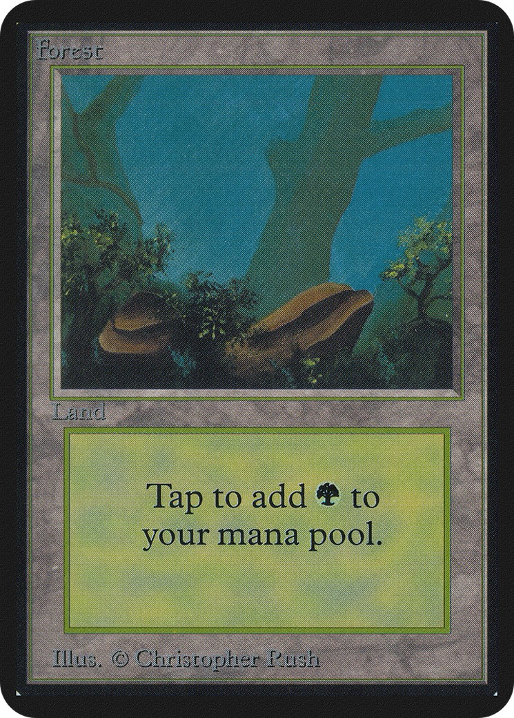 Forest - Image 1
