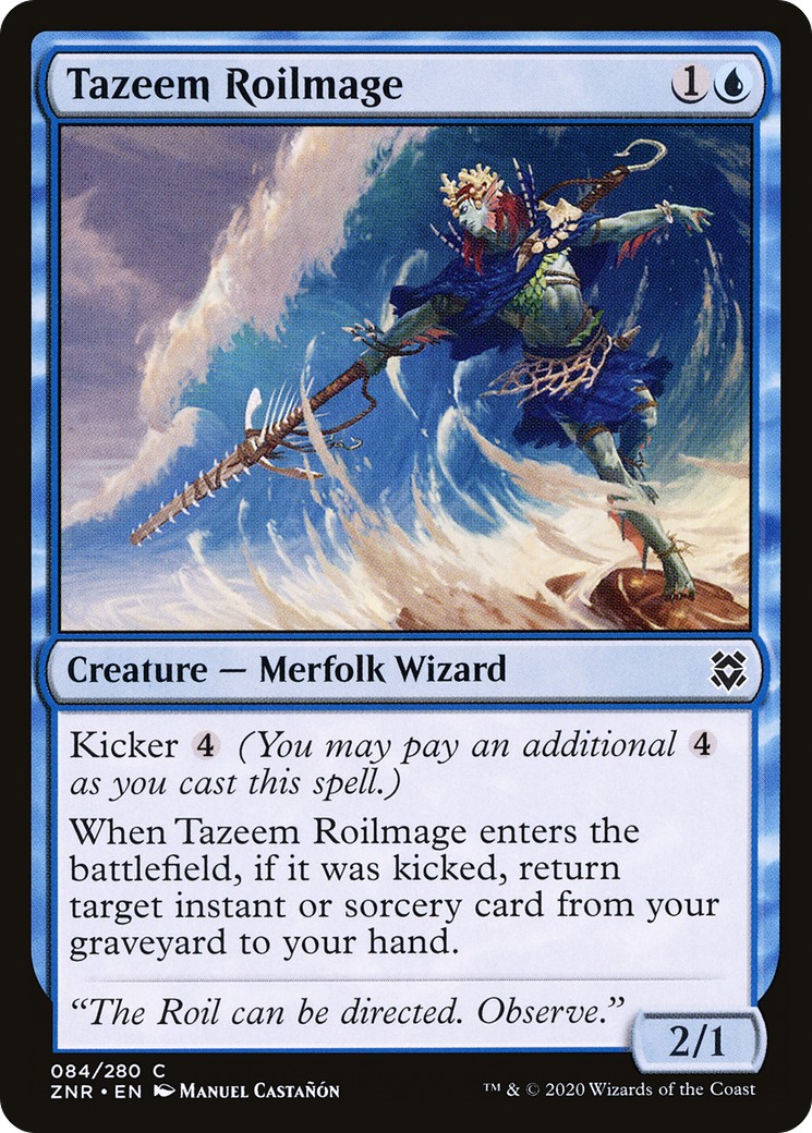 Tazeem Roilmage - Image 1