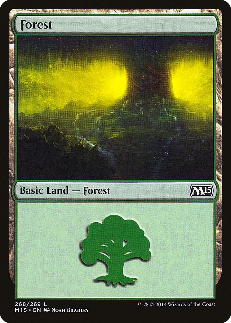 Forest - Image 1