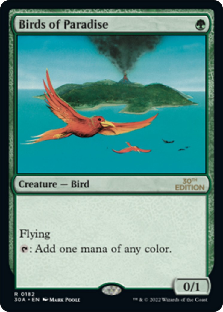 Birds of Paradise - Image 1
