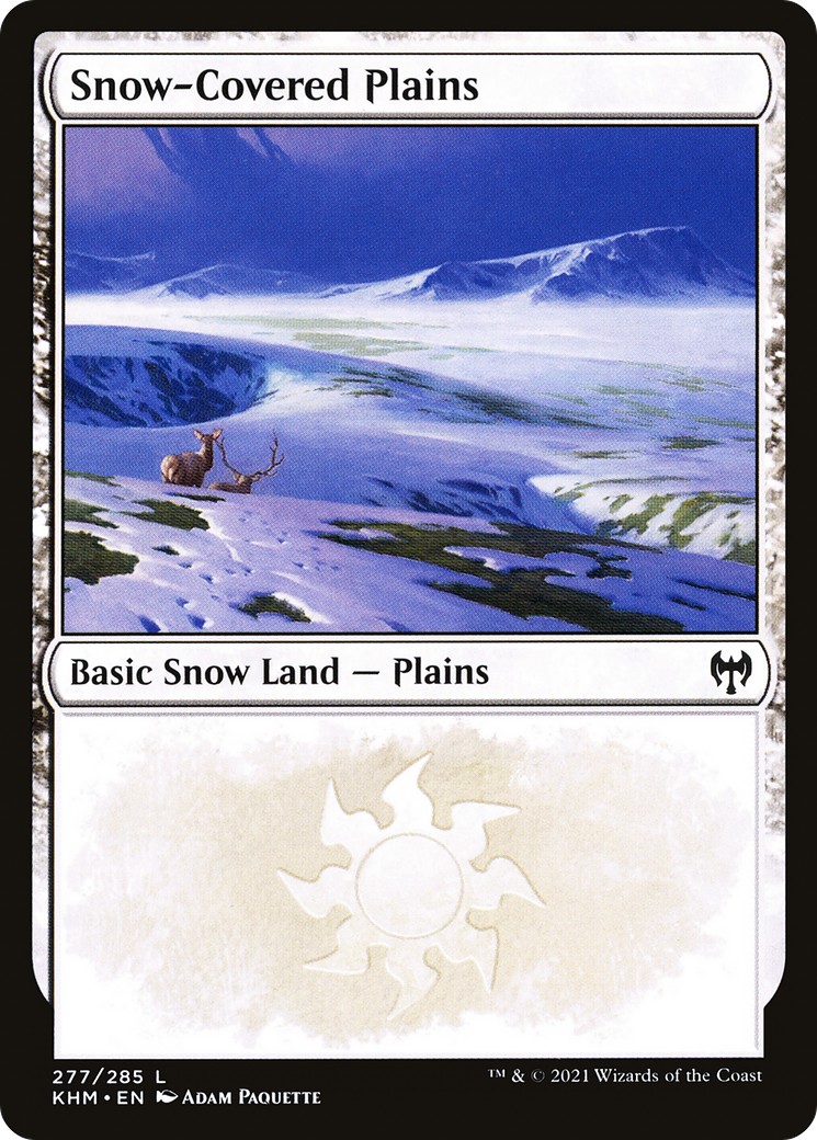 Snow-Covered Plains - Image 1