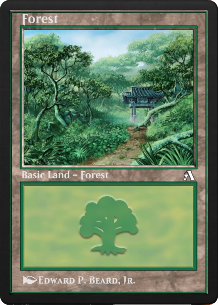 Forest - Image 1