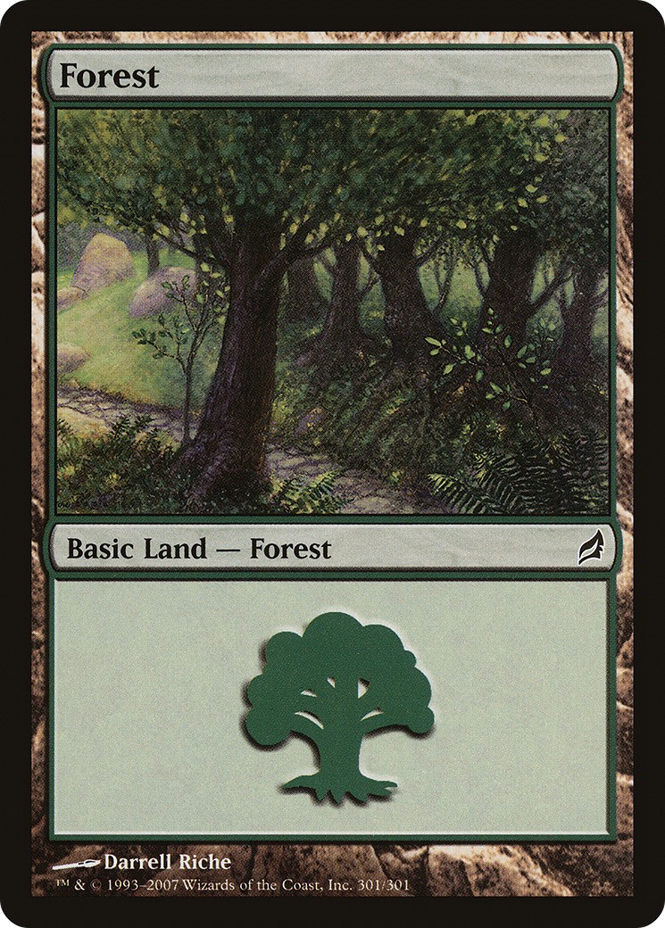 Forest - Image 1