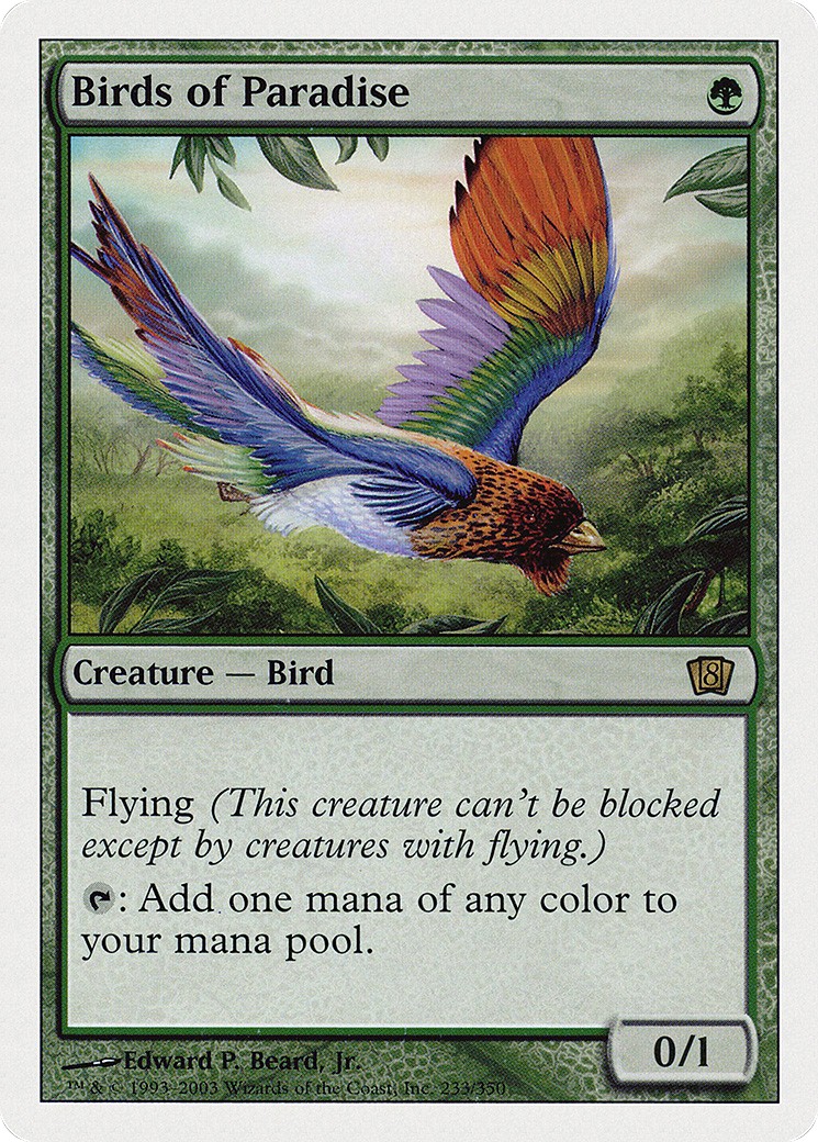 Birds of Paradise - Image 1