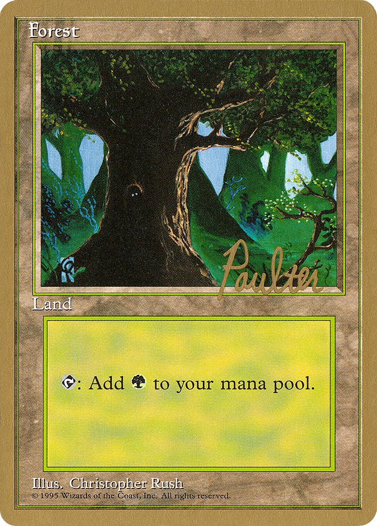 Forest - Image 1