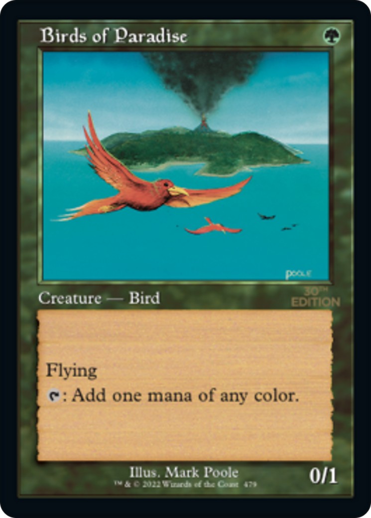 Birds of Paradise - Image 1