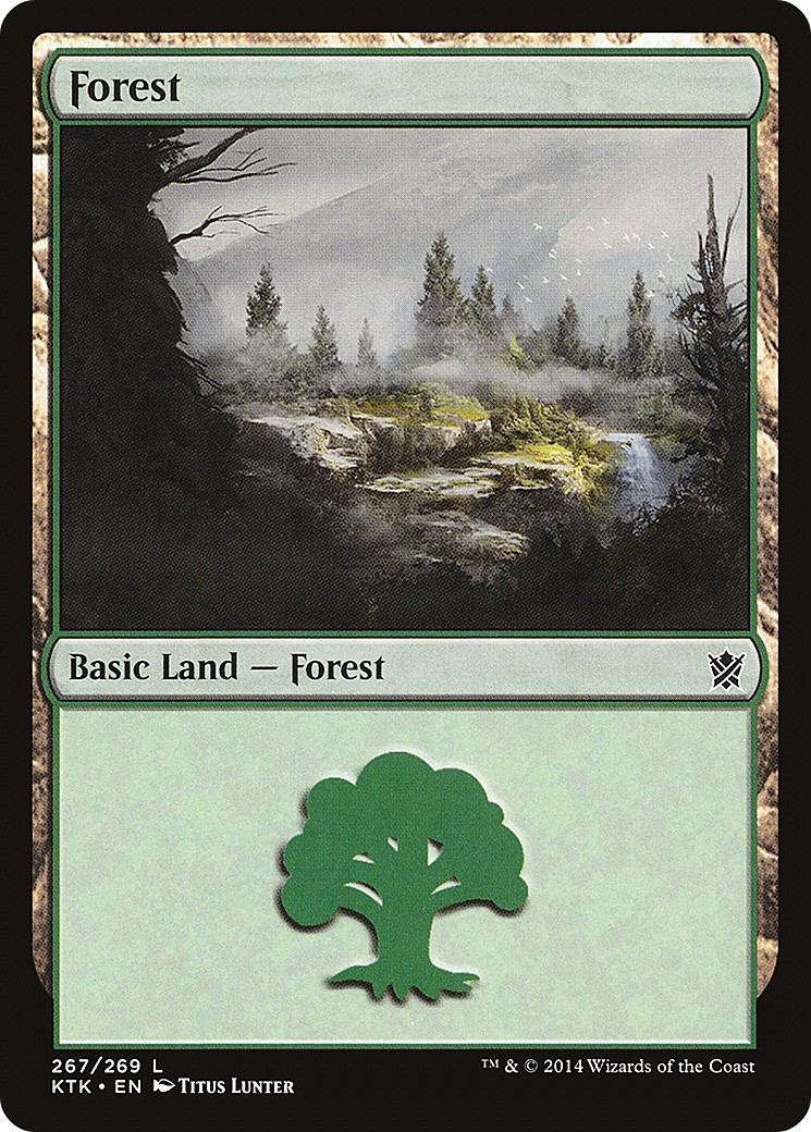 Forest - Image 1