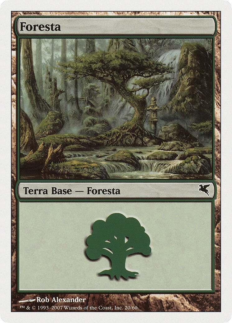 Forest - Image 1