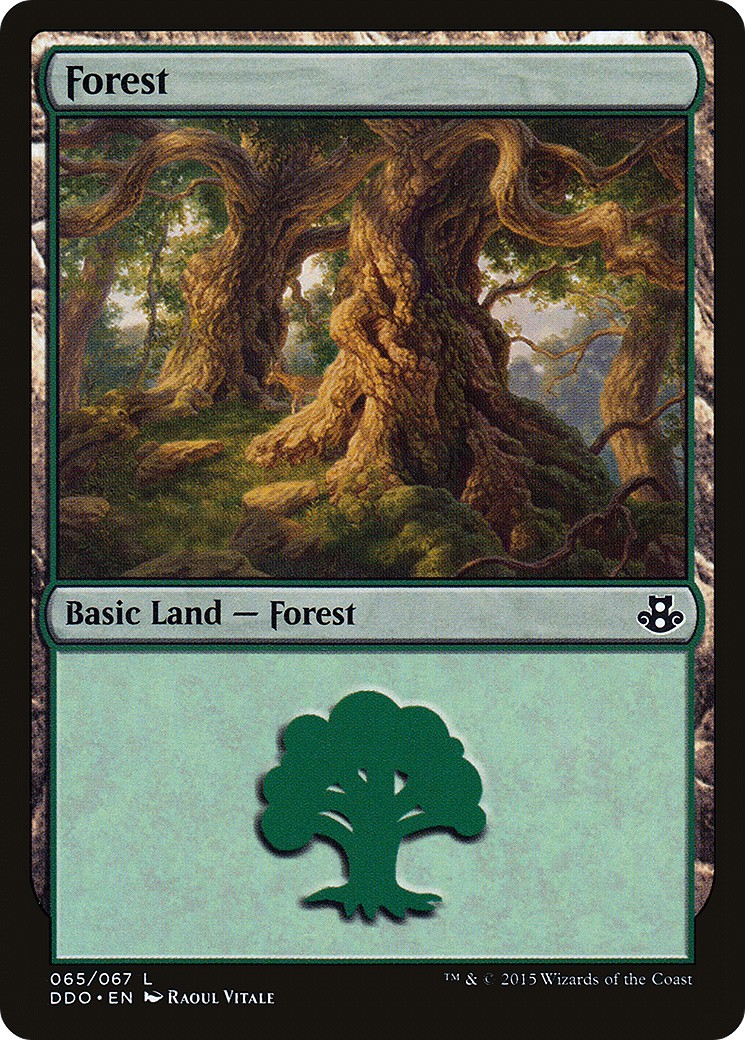 Forest - Image 1