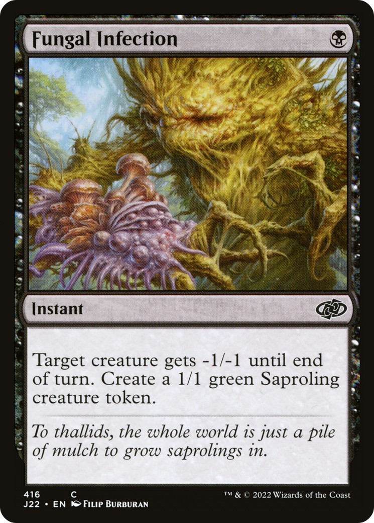 Fungal Infection - Image 1