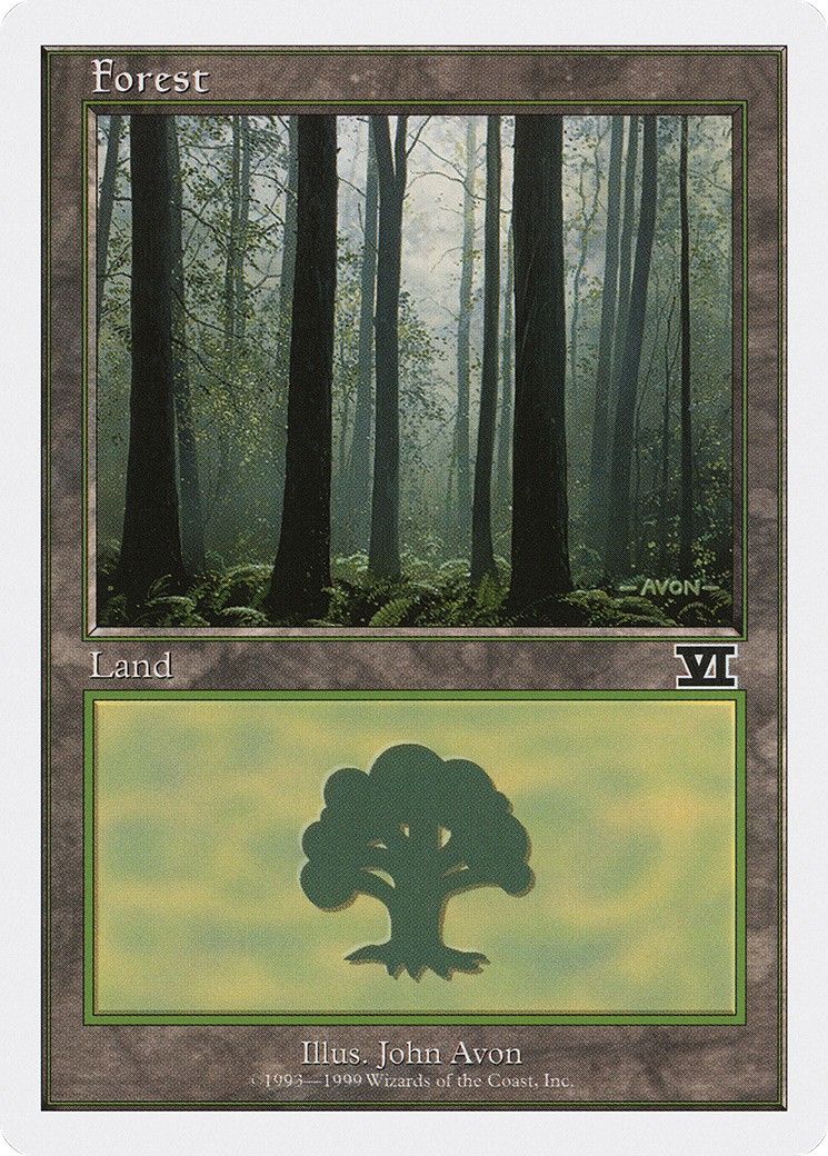 Forest - Image 1