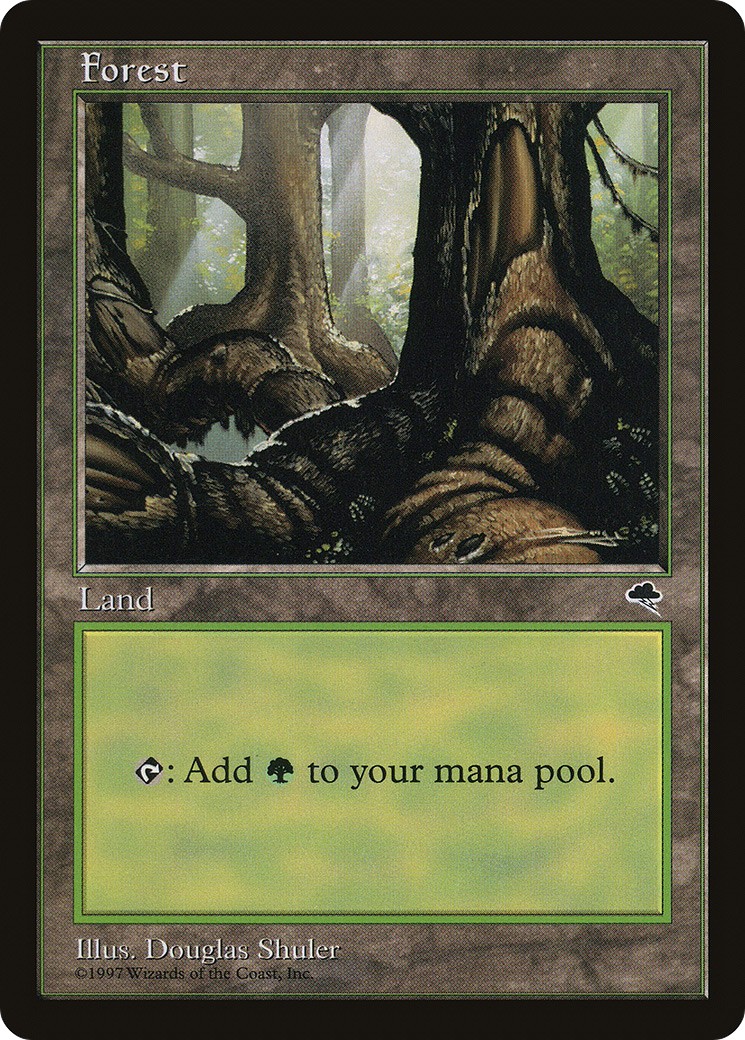 Forest - Image 1