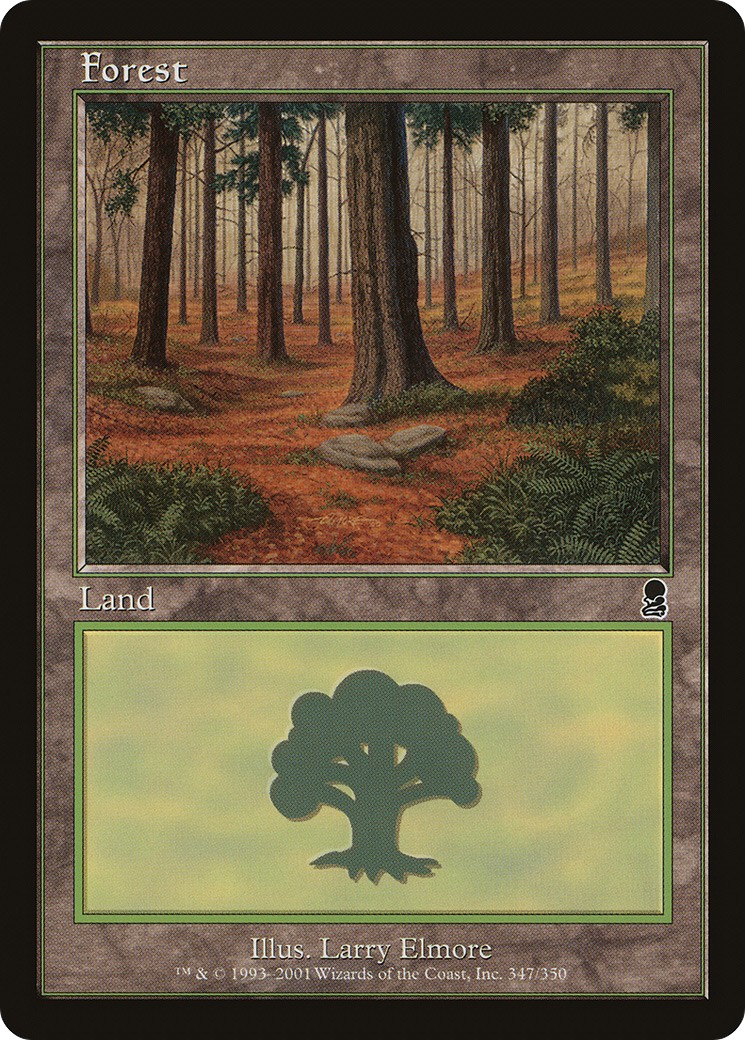 Forest - Image 1