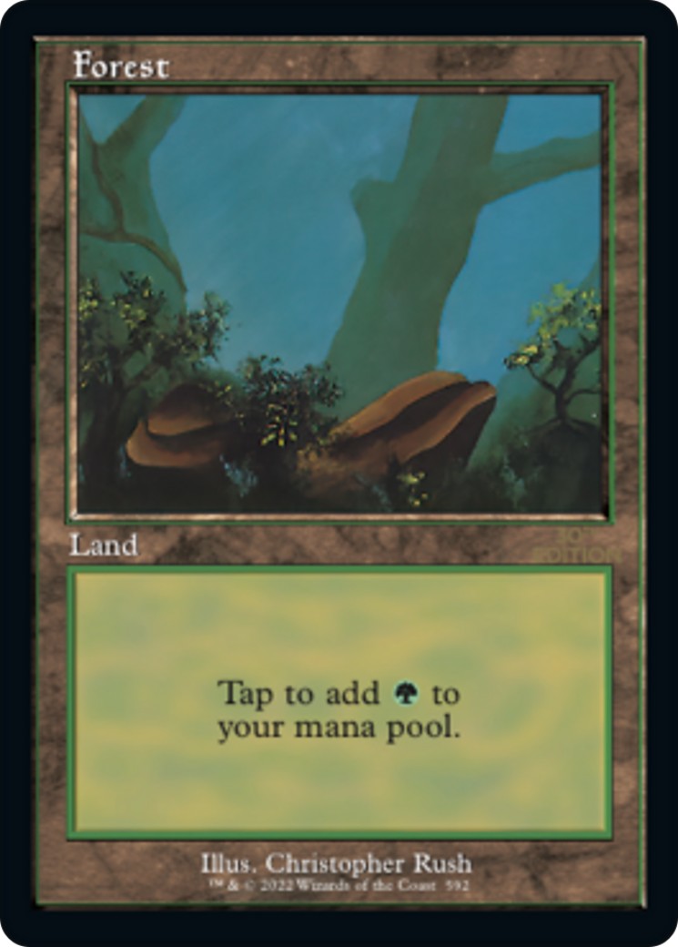 Forest - Image 1