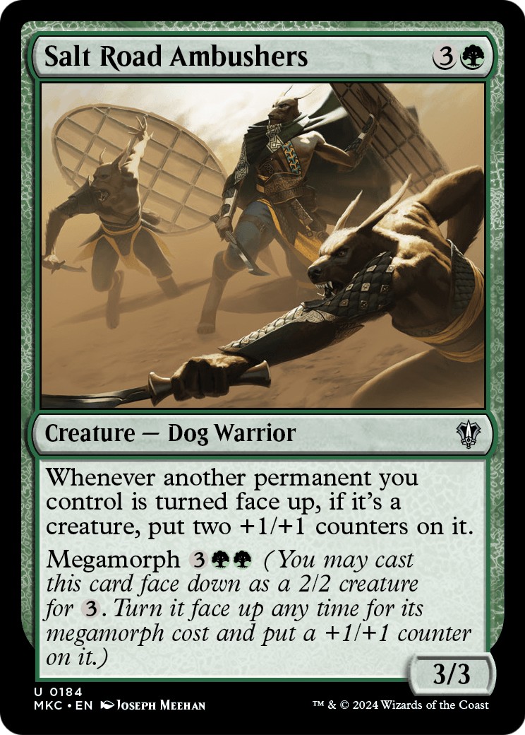Salt Road Ambushers - Image 1
