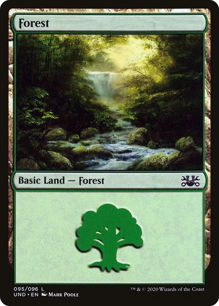 Forest - Image 1