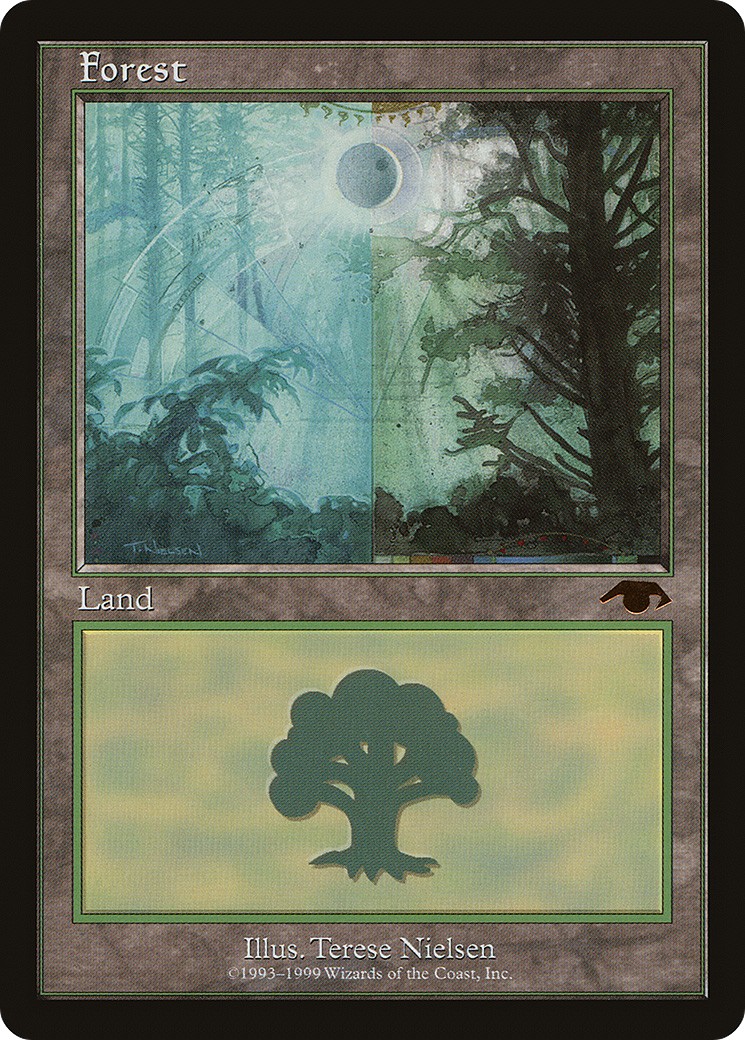 Forest - Image 1