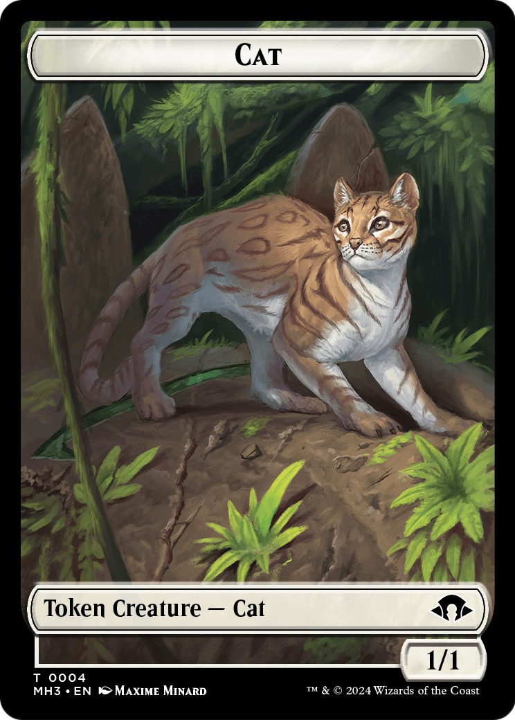 Cat - Image 1