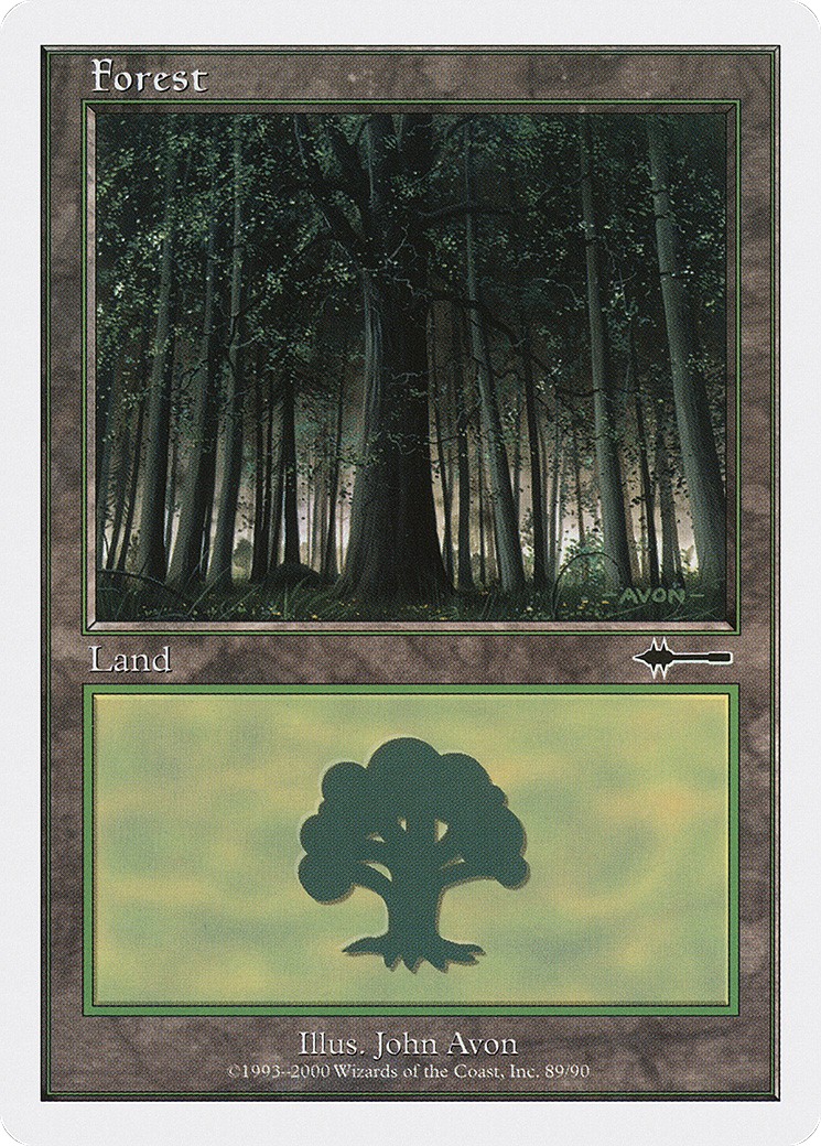 Forest - Image 1