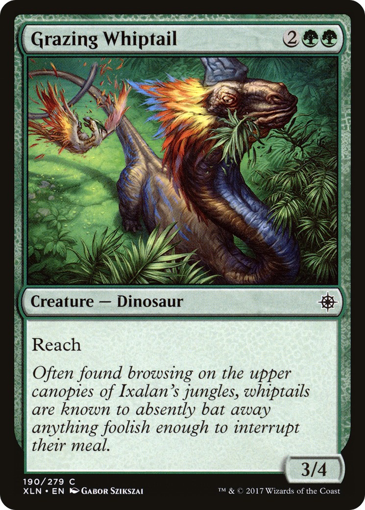 Grazing Whiptail - Image 1