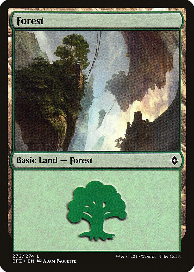 Forest - Image 1