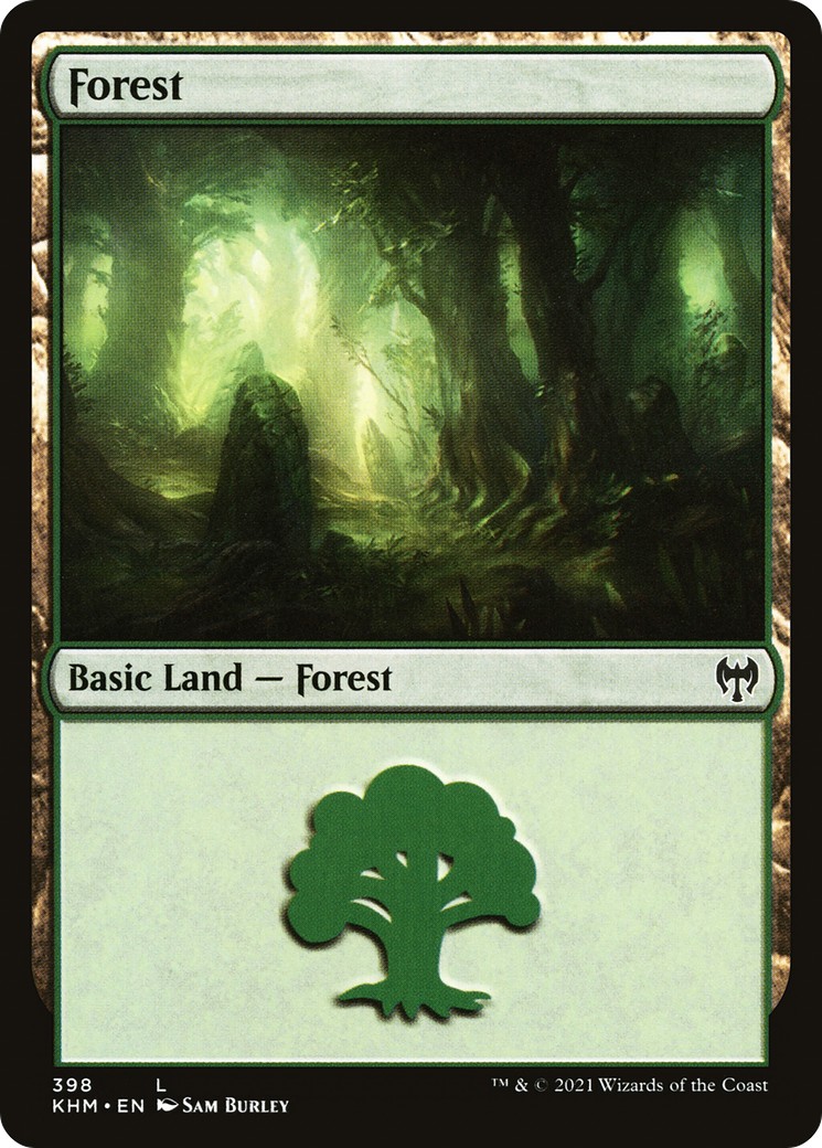 Forest - Image 1