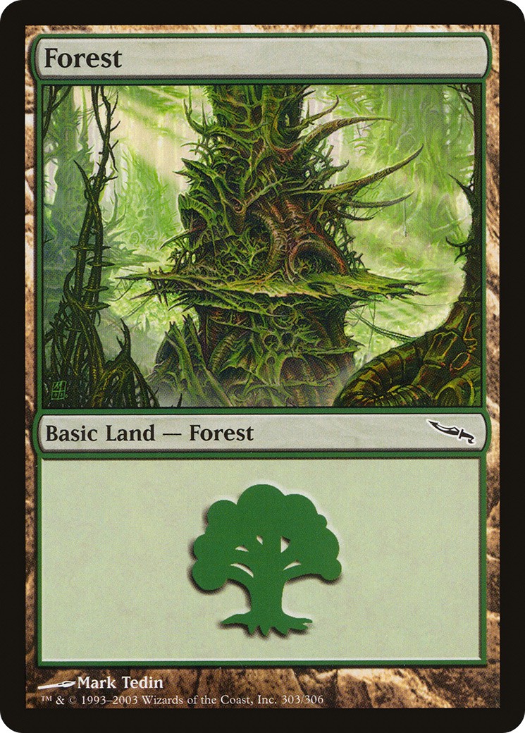Forest - Image 1