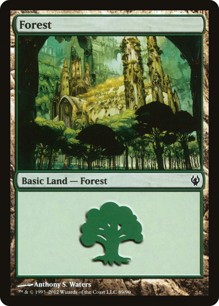 Forest - Image 1