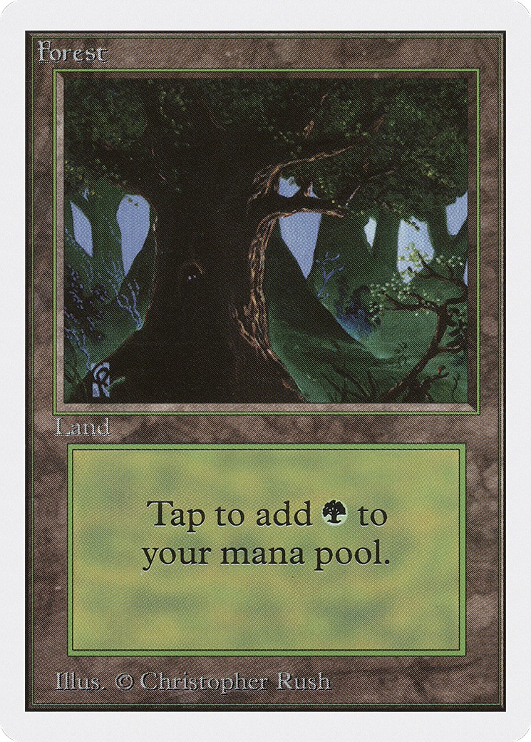 Forest - Image 1