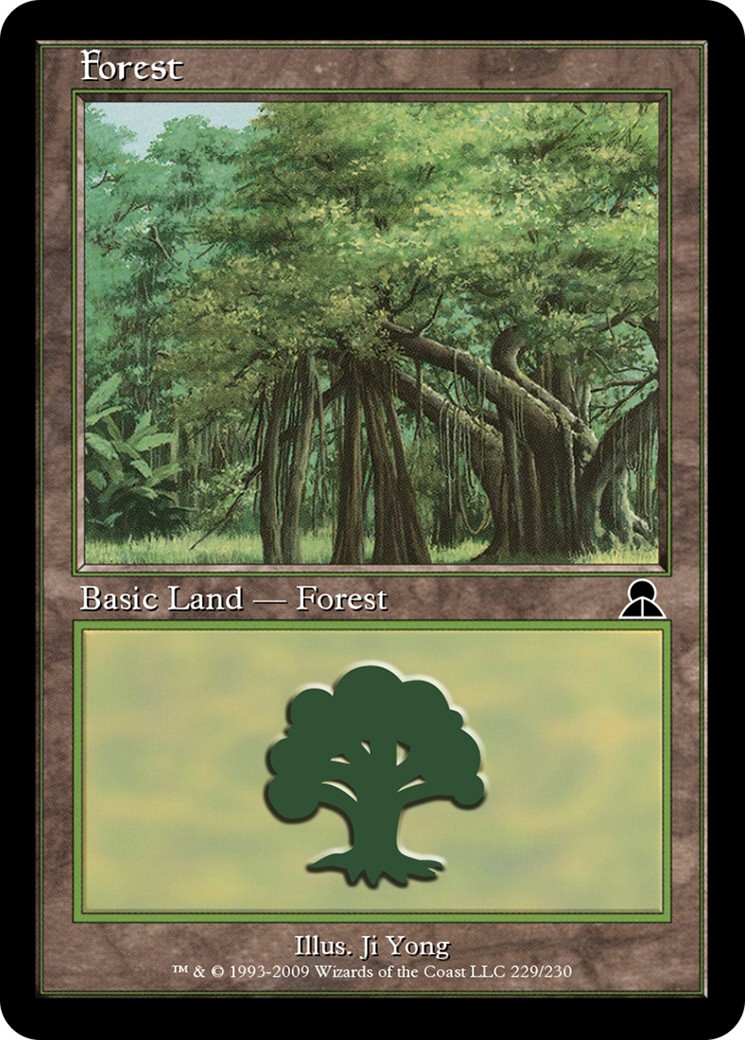 Forest - Image 1