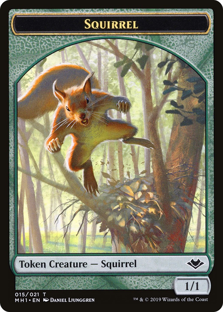 Squirrel - Image 1