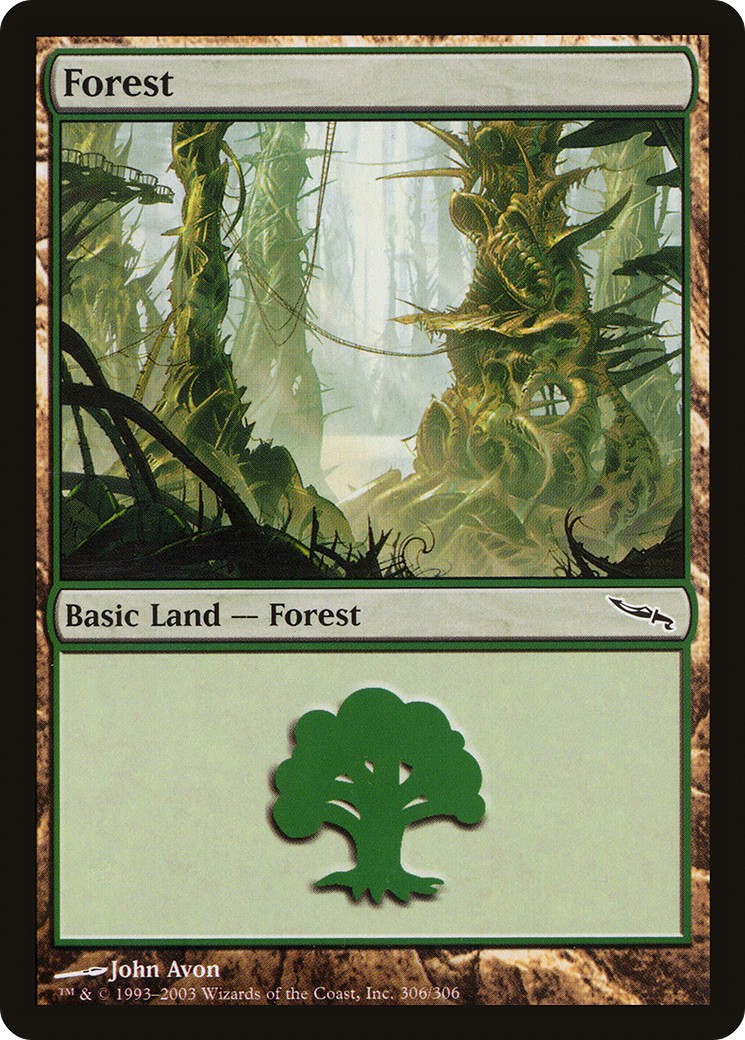 Forest - Image 1