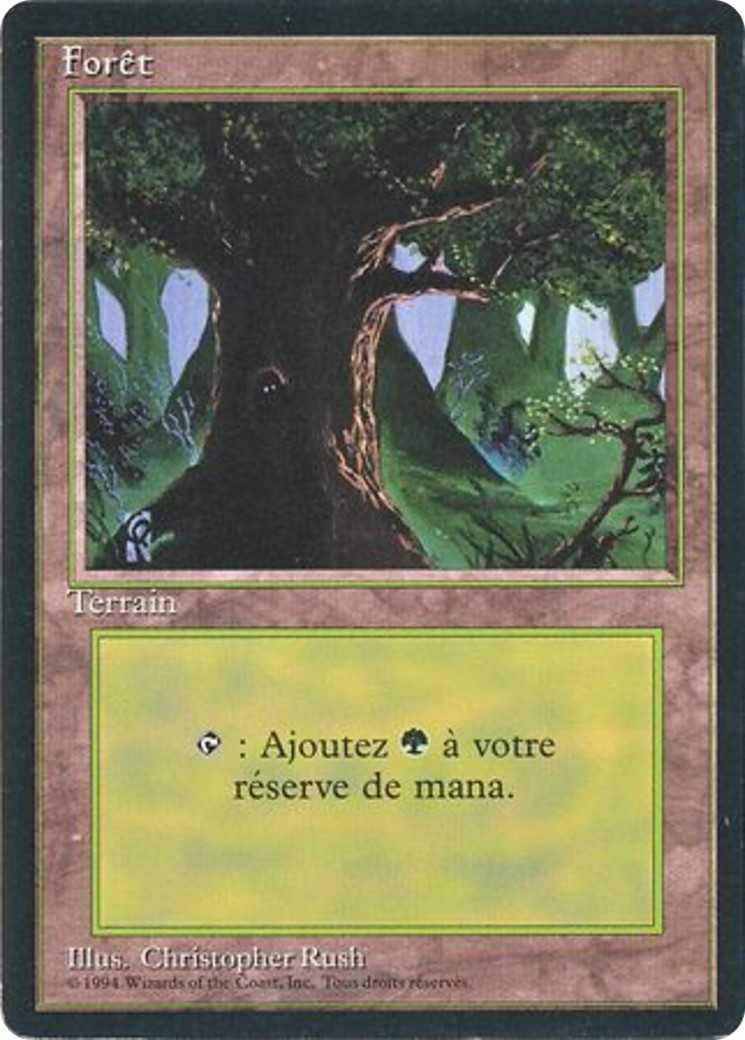 Forest - Image 1