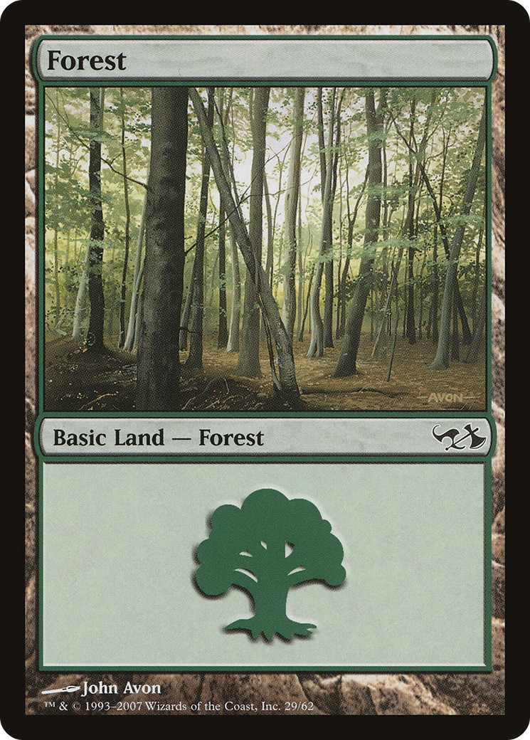 Forest - Image 1