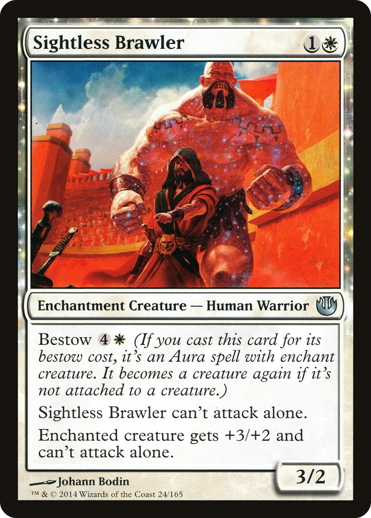 Sightless Brawler - Image 1