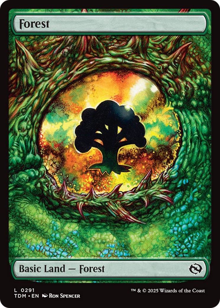 Forest - Image 1
