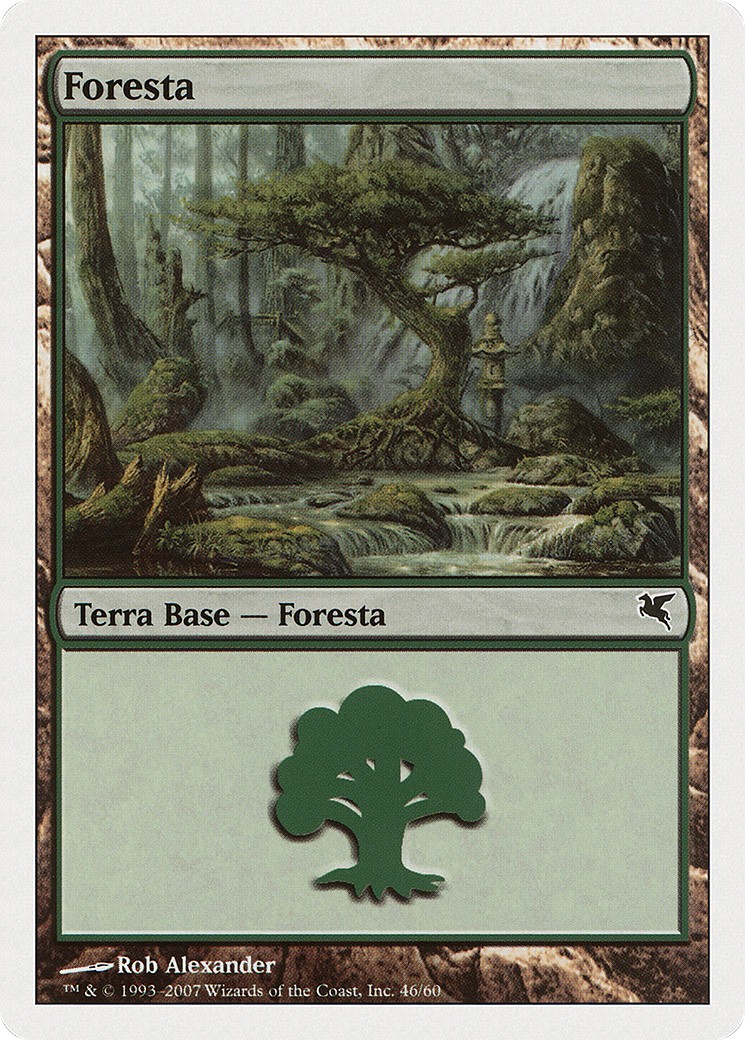 Forest - Image 1