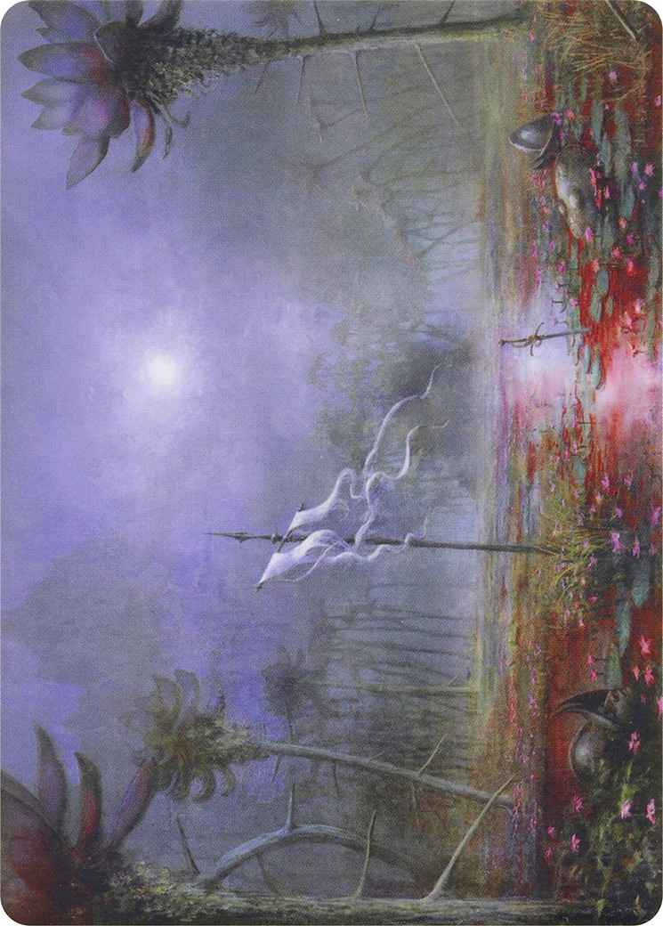 Silent Clearing // Silent Clearing - Image 1